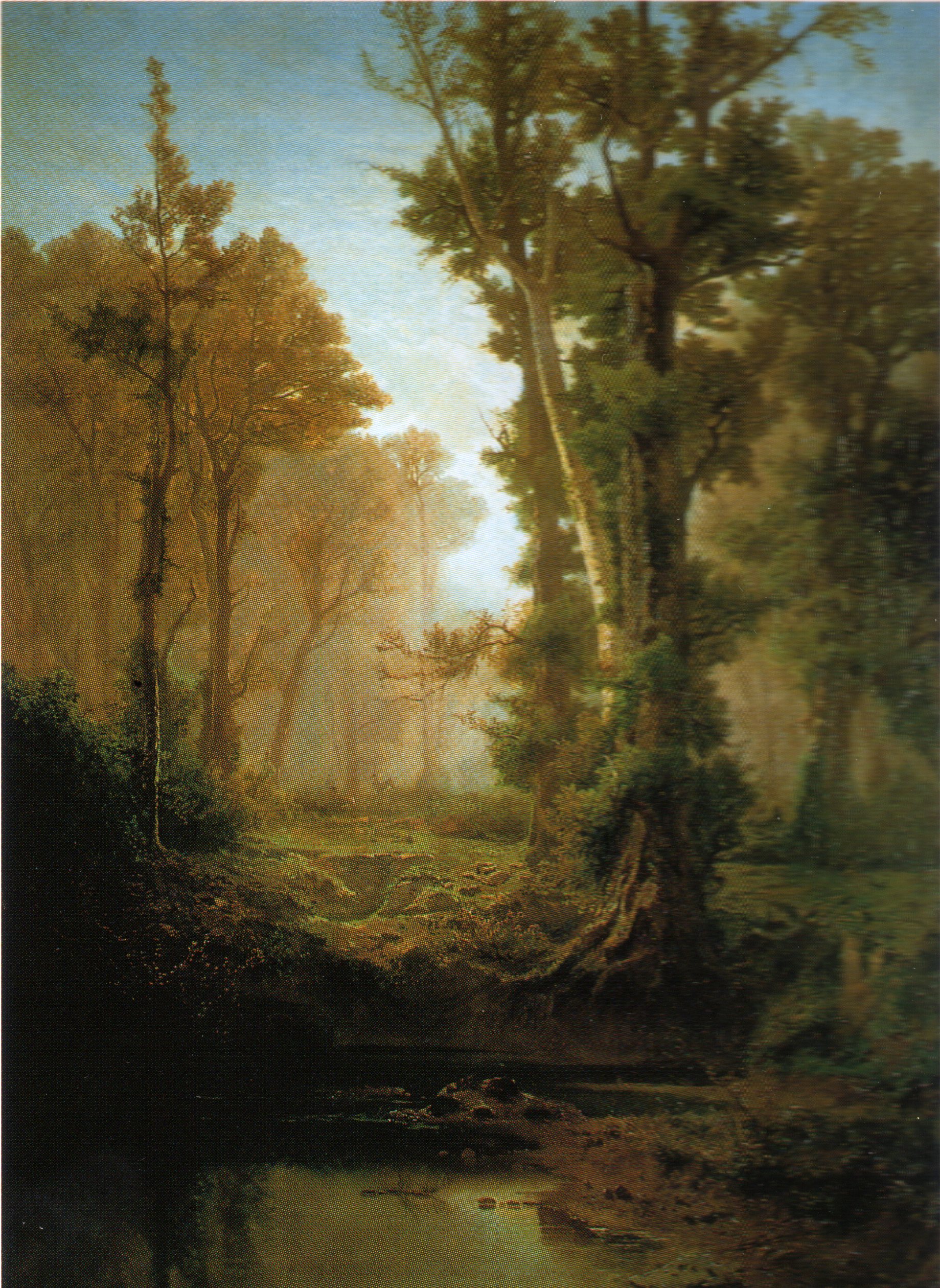 CORSI di BOSNASCO GIAMBATTISTA GIACINTO GIUSEPPE Arte Piemonte