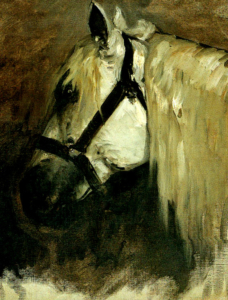 7_Testa di cavallo bianco, olio su tela, 54,4x38